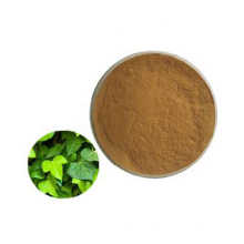 Ivy Leaf Powder Extract